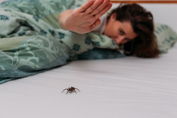 Woman,In,Bedroom,Terrified,By,Big,Spider,Crawling,Over,Her